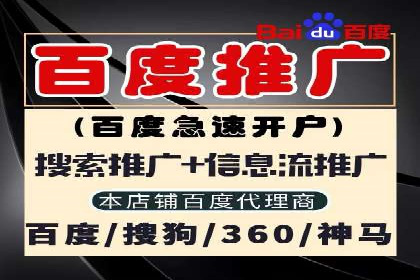 SEM优化师如何提升广告点击率——以某电商平台的成功案例为例